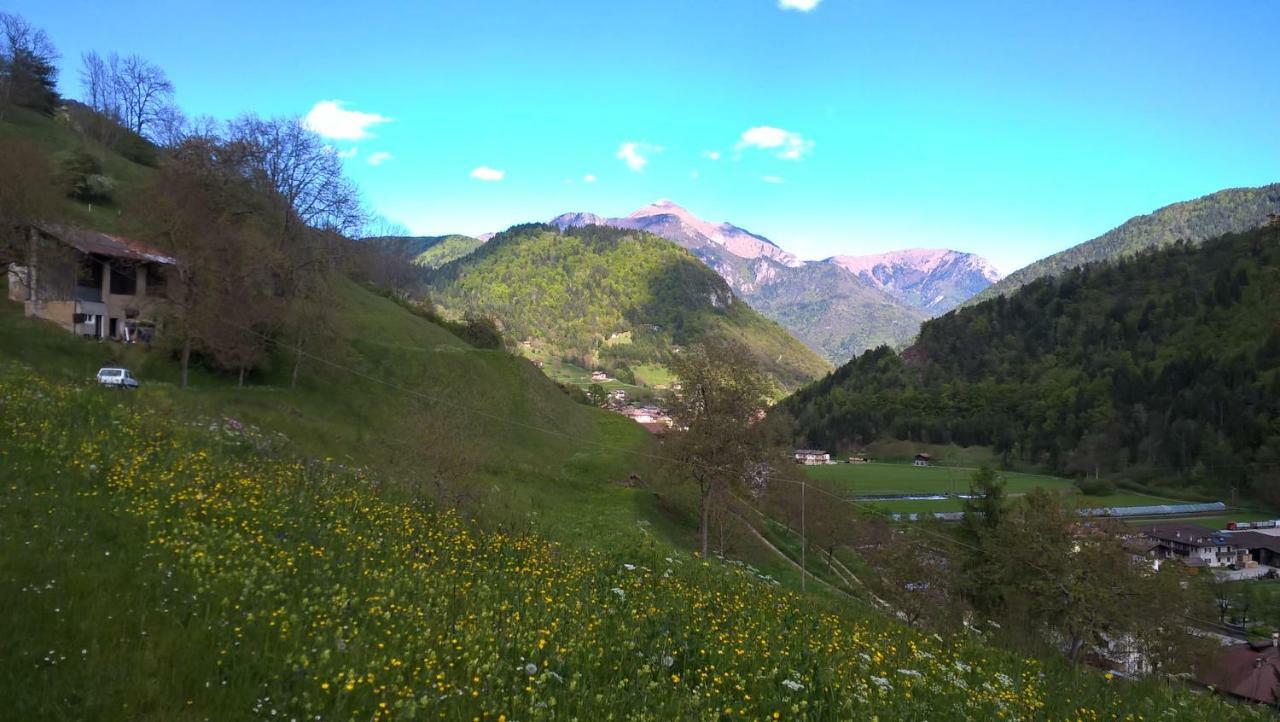 B&B Ai Pini Tiarno di Sopra Esterno foto